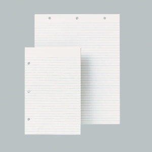/products/Loose-Leaf Paper - Ruled