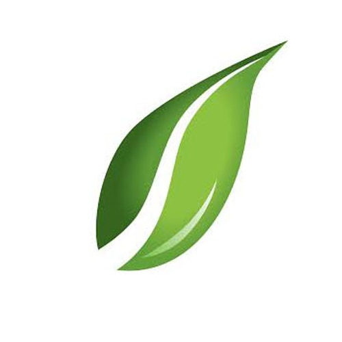 Green leaf icon